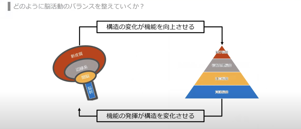 脳の機能と構造の改善が症状の緩和へ