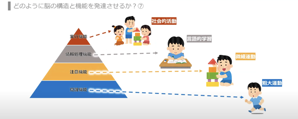 脳の機能改善のための各機能に応じたプログラム