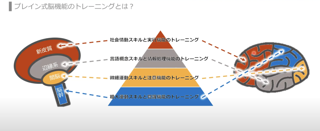 脳全体の調和した発達を促すトレーニング