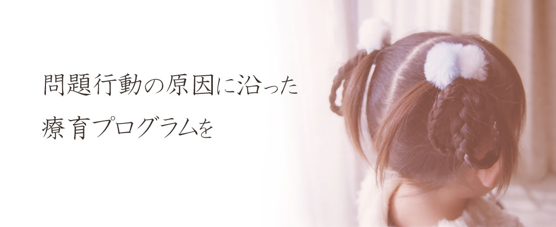 問題行動に沿った療育プログラムを